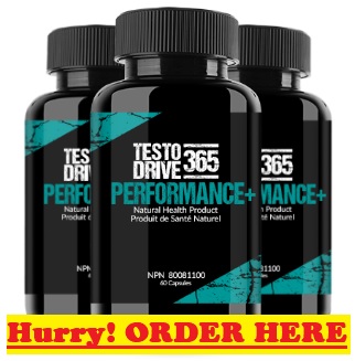 testo drive 365